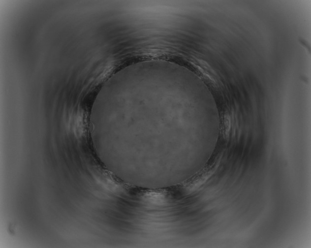 X0000092270236200709141207