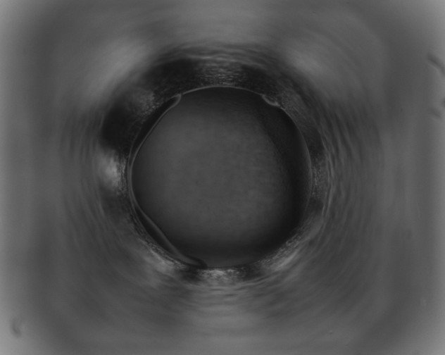 X0000092270239200709141207