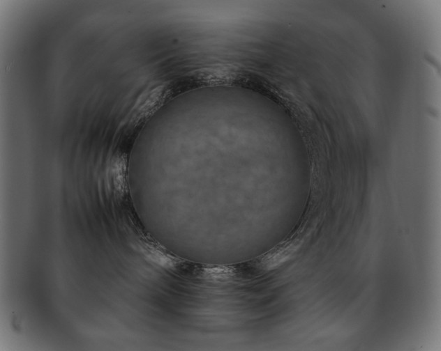 X0000092270240200709141207