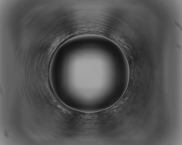 X0000092270241200709141206