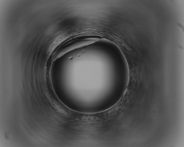 X0000092270242200709141206