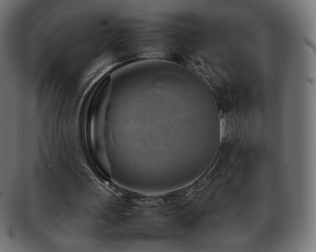 X0000092270243200709141206