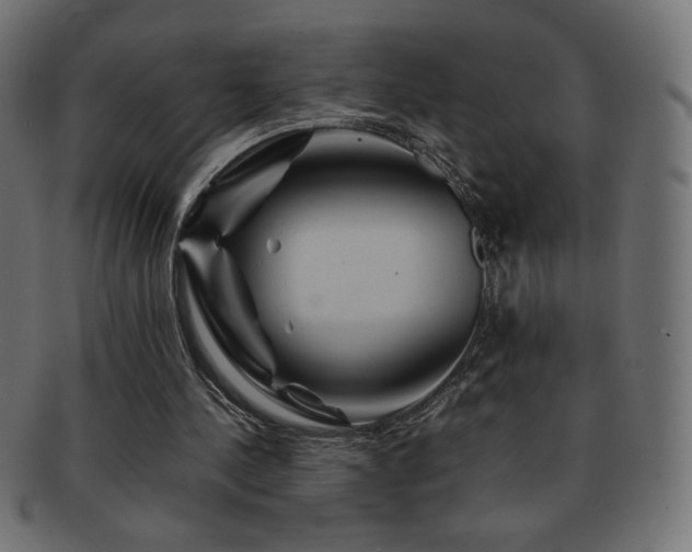 X0000092270244200709141206