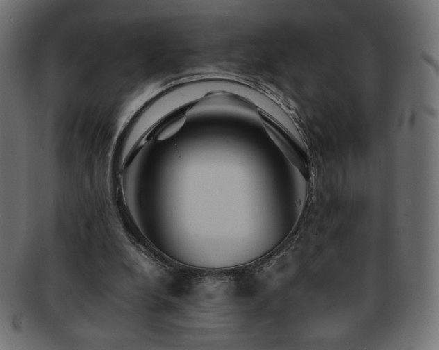 X0000092270248200709141207