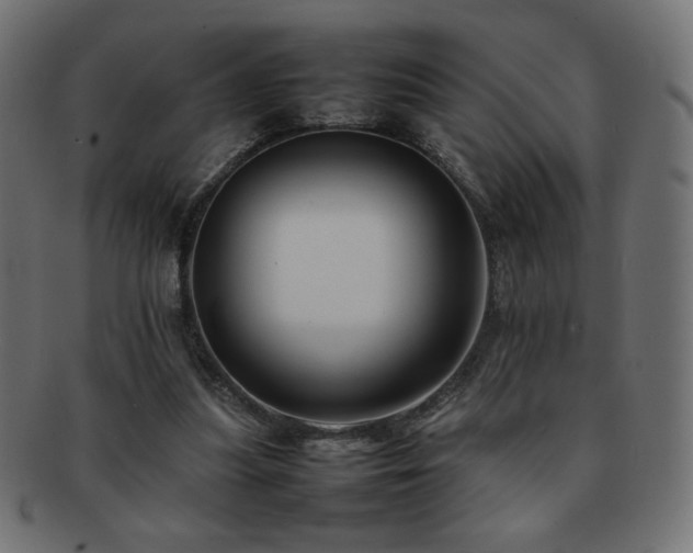 X0000092270251200709141207