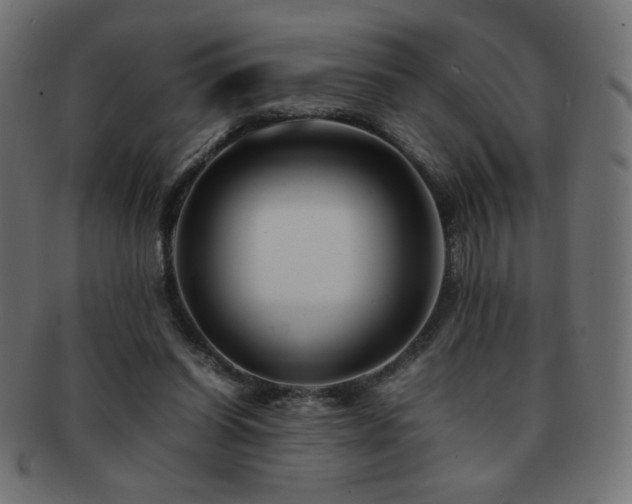 X0000092270254200709141207