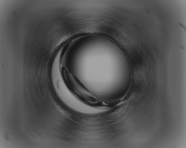 X0000092270256200709141207