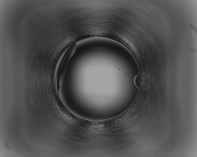 X0000092270257200709141207