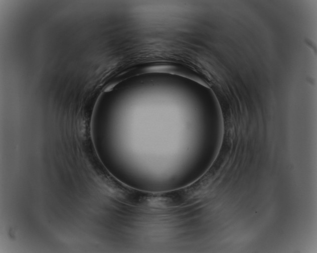 X0000092270268200709141207