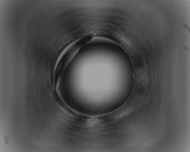 X0000092270269200709141207