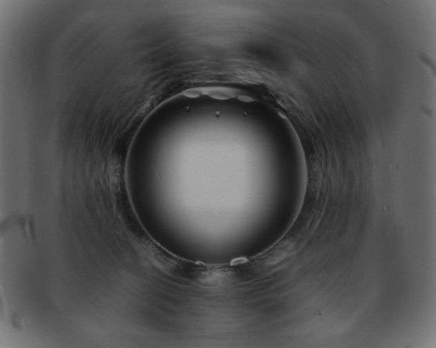 X0000092270274200709141207
