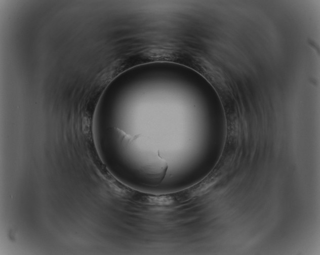 X0000092270281200709141207