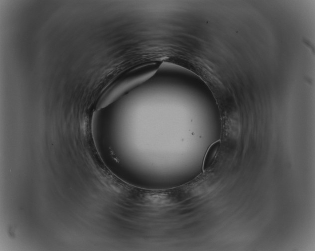 X0000092270283200709141207