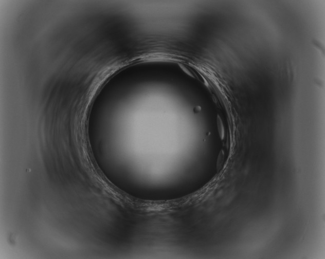 X0000092270289200709141206