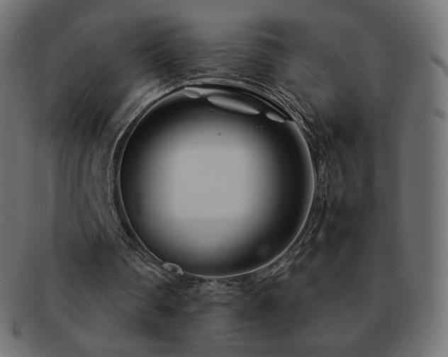 X0000092270290200709141206