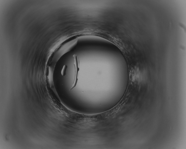 X0000092270292200709141206