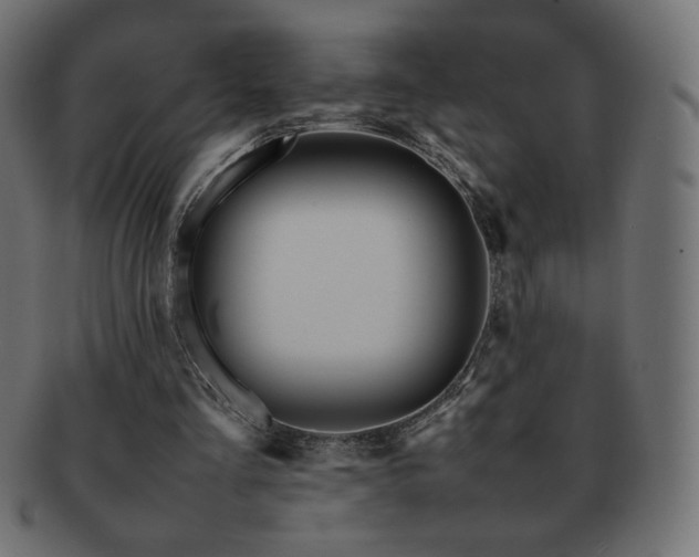 X0000092270293200709141206