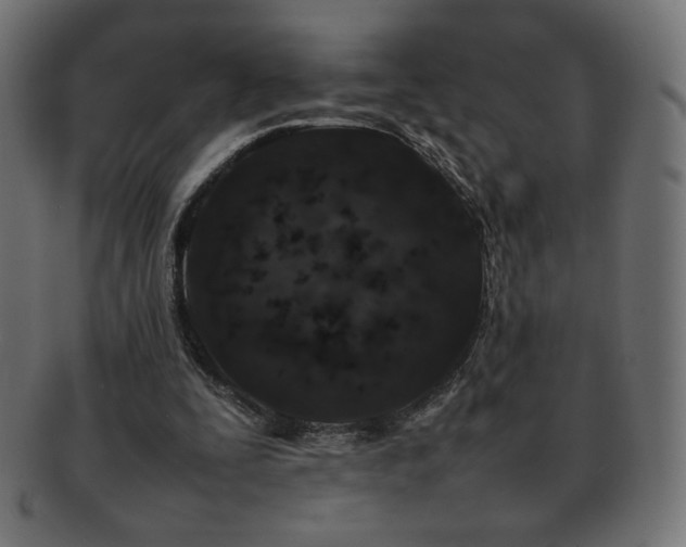 X0000092270295200709141206