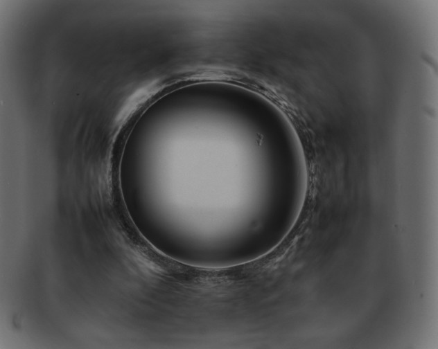 X0000092270296200709141206