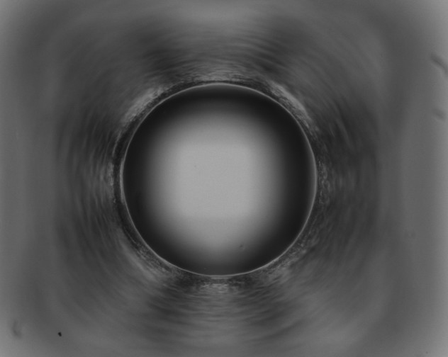X0000092270298200709141206