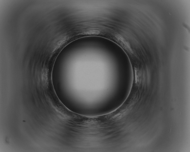 X0000092270300200709141206