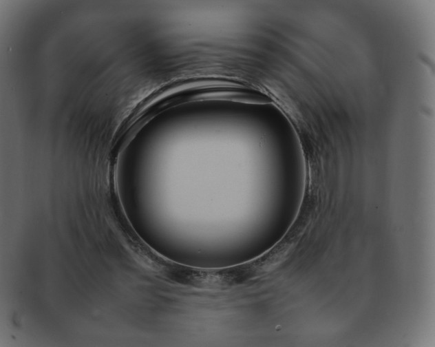 X0000092270301200709141206