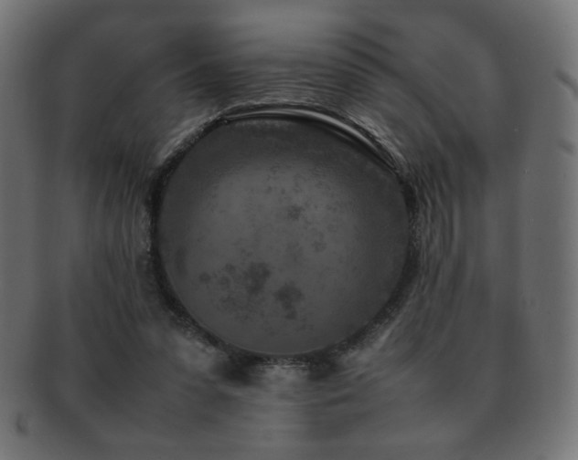 X0000092270303200709141206
