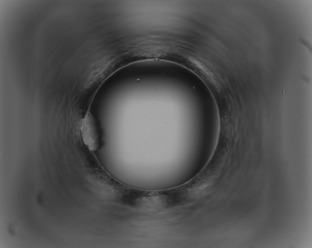 X0000092270307200709141206