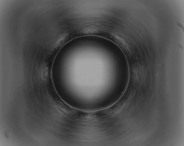 X0000092270308200709141206