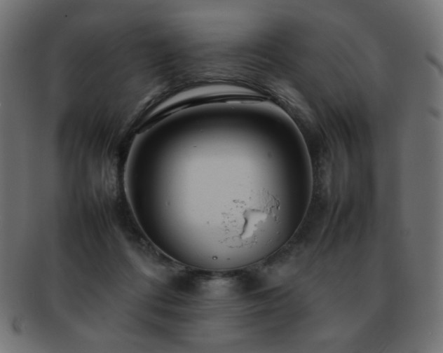 X0000092270312200709141206