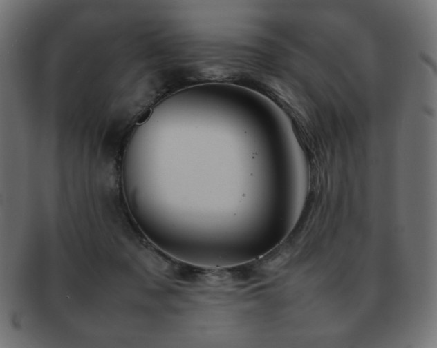 X0000092270317200709141206