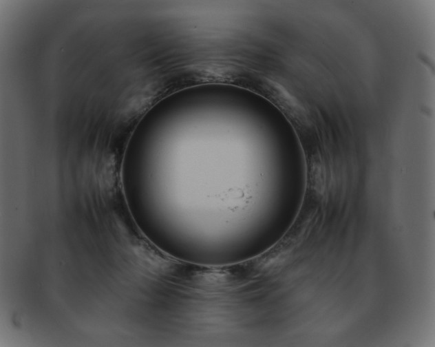 X0000092270318200709141206