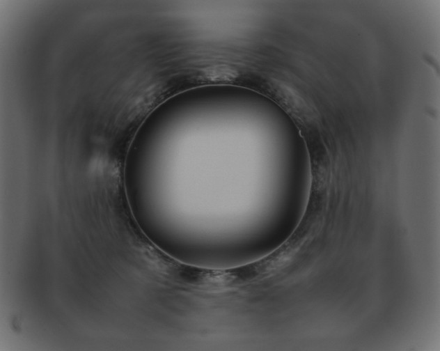 X0000092270321200709141206