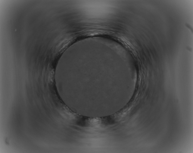 X0000092270325200709141206