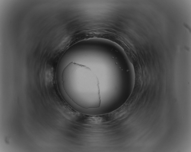 X0000092270328200709141206
