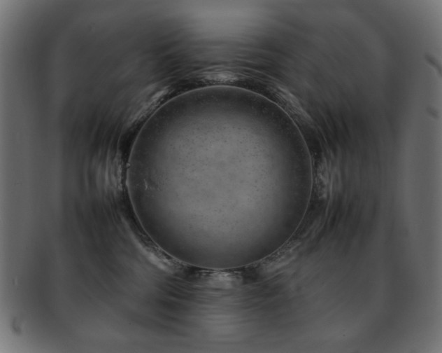 X0000092270330200709141206