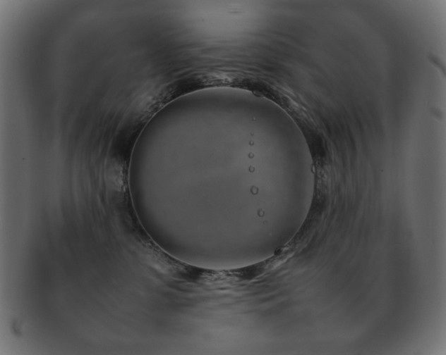 X0000092270331200709141206