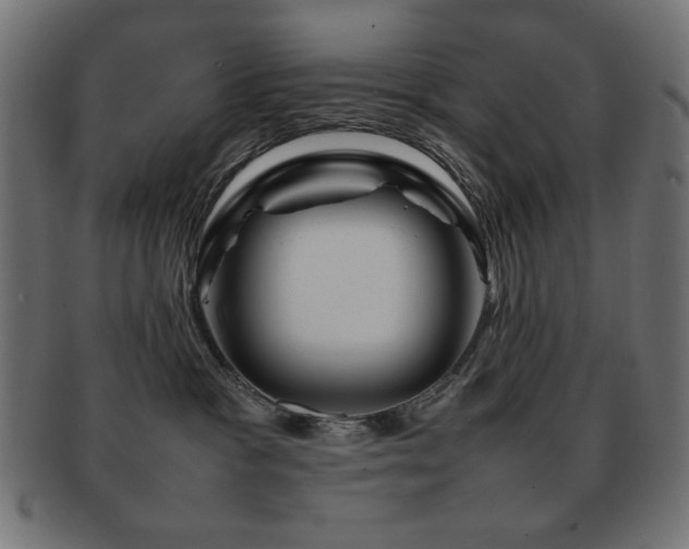 X0000092270333200709141206