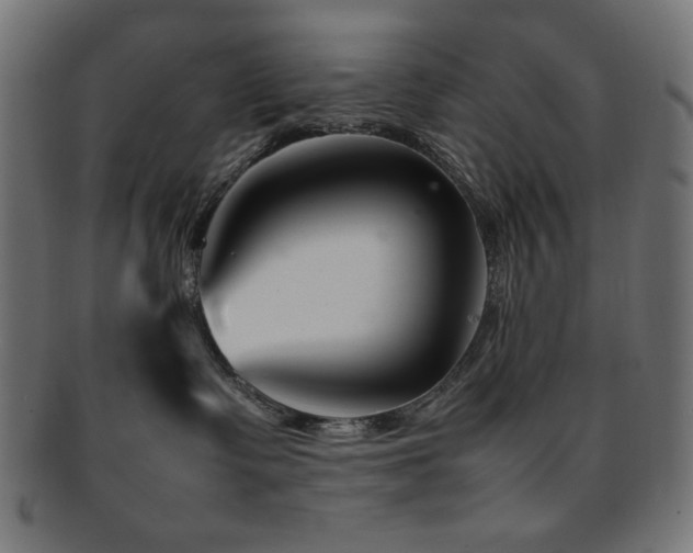 X0000092270335200709141206
