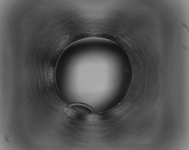 X0000092270336200709141206