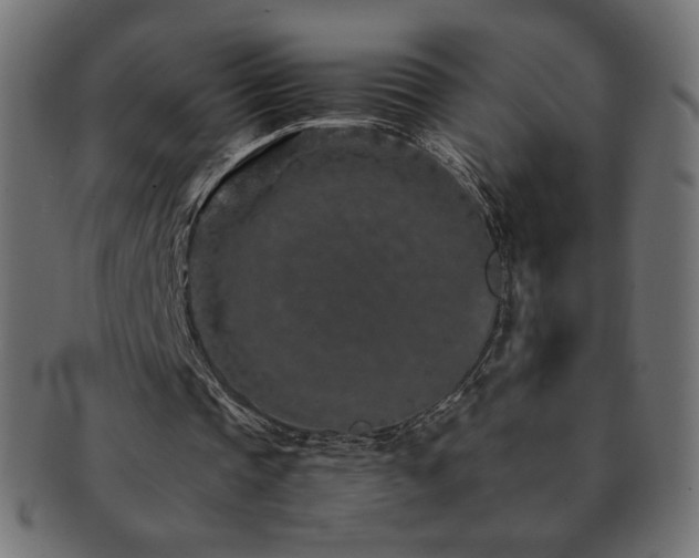 X0000092270337200709141205