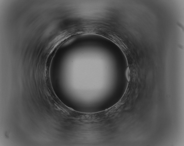 X0000092270338200709141205