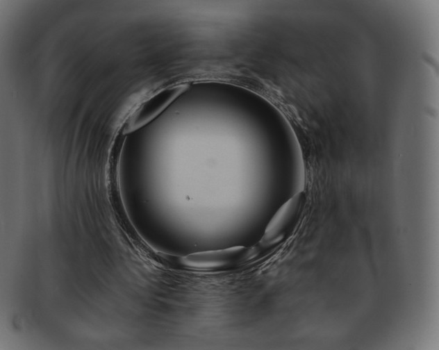 X0000092270340200709141205