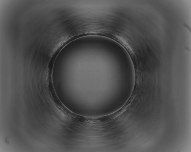 X0000092270346200709141205