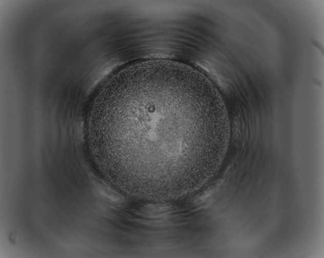 X0000092270351200709141205