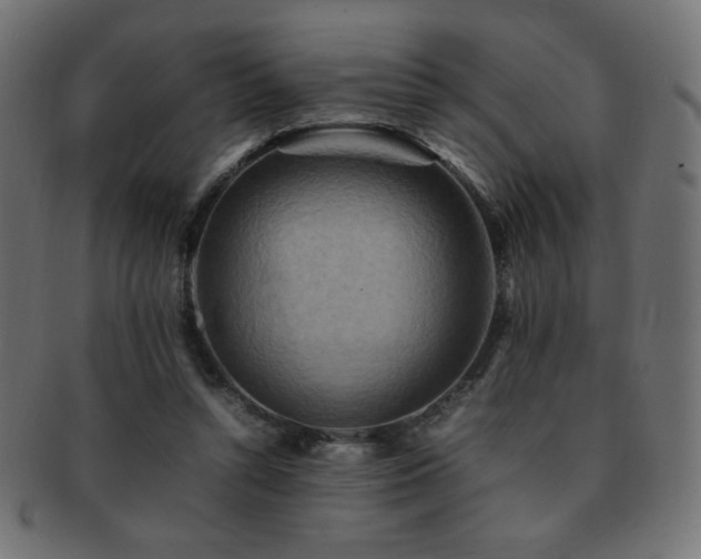 X0000092270352200709141205