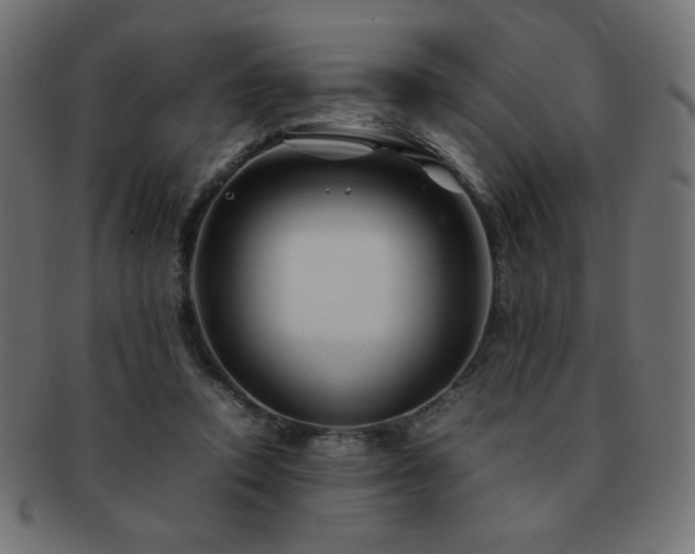X0000092270354200709141205
