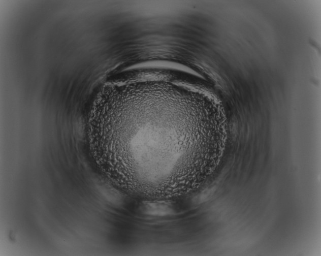 X0000092270359200709141205