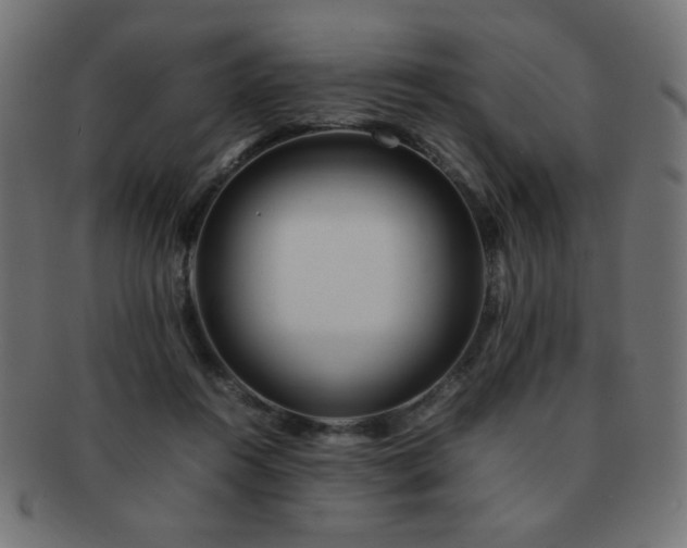 X0000092270360200709141205