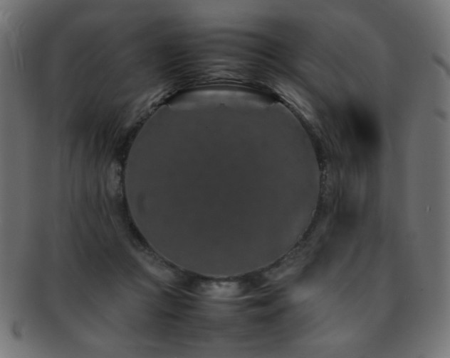 X0000092270361200709141205
